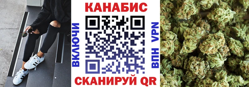 Купить  Черногорск  Каннабис сатива 